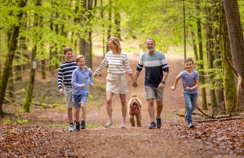 Tips autumn break Ardennes